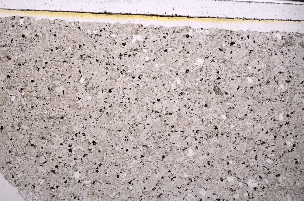 Plane Polarized, E46319