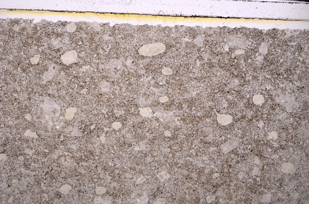 Plane Polarized, E46320