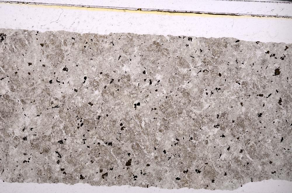 Plane Polarized, E46322