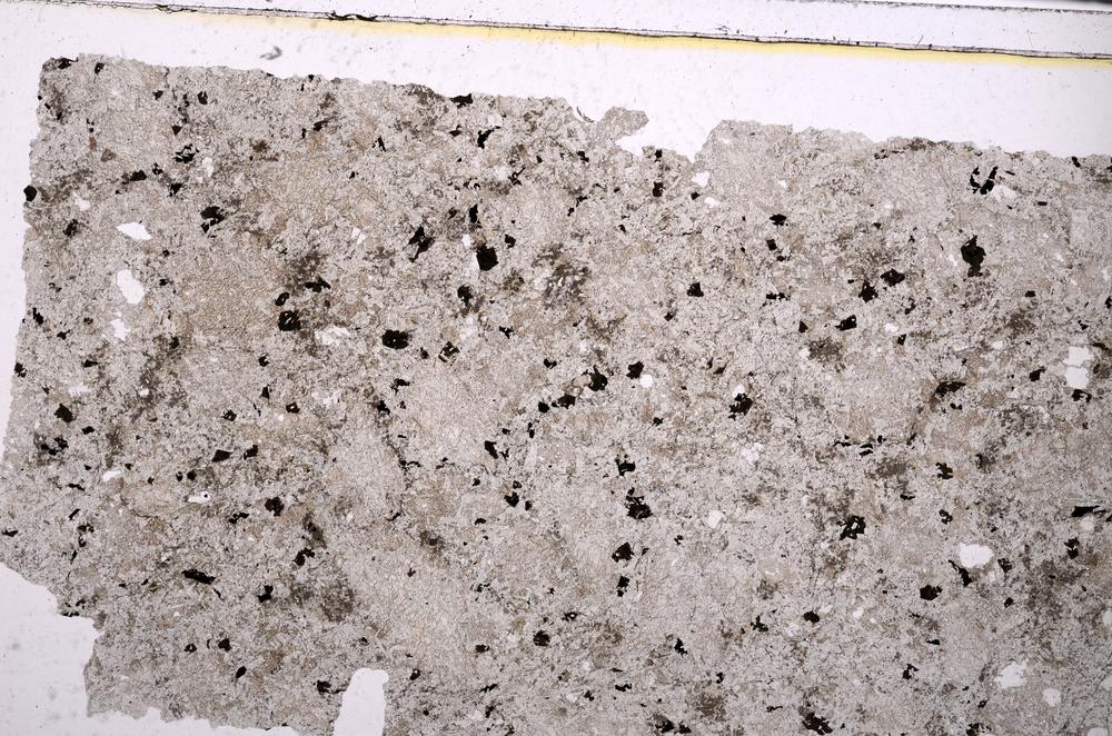 Plane Polarized, E46323