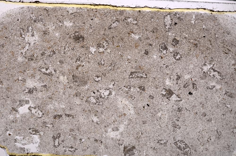 Plane Polarized, E46324