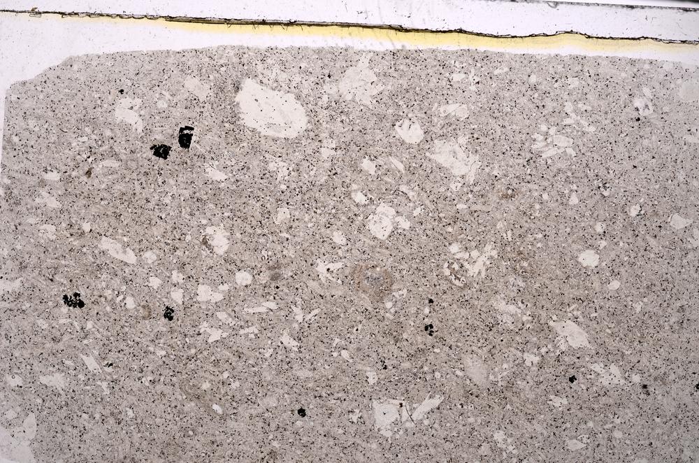 Plane Polarized, E46327