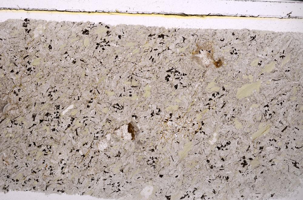 Plane Polarized, E46328