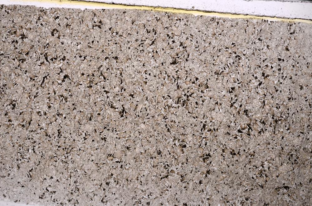 Plane Polarized, E46334