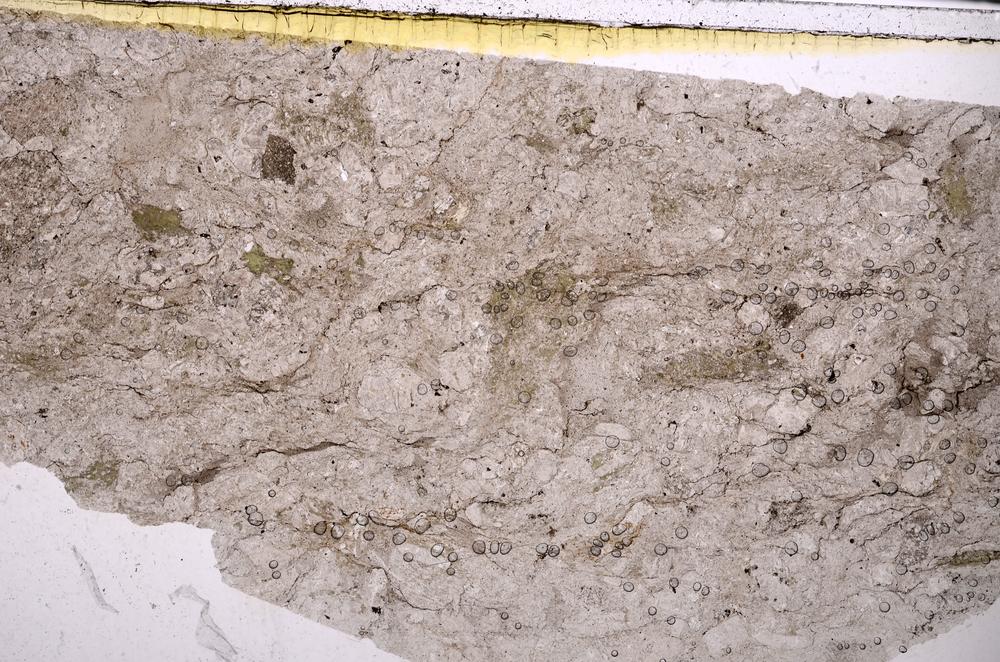 Plane Polarized, E46336