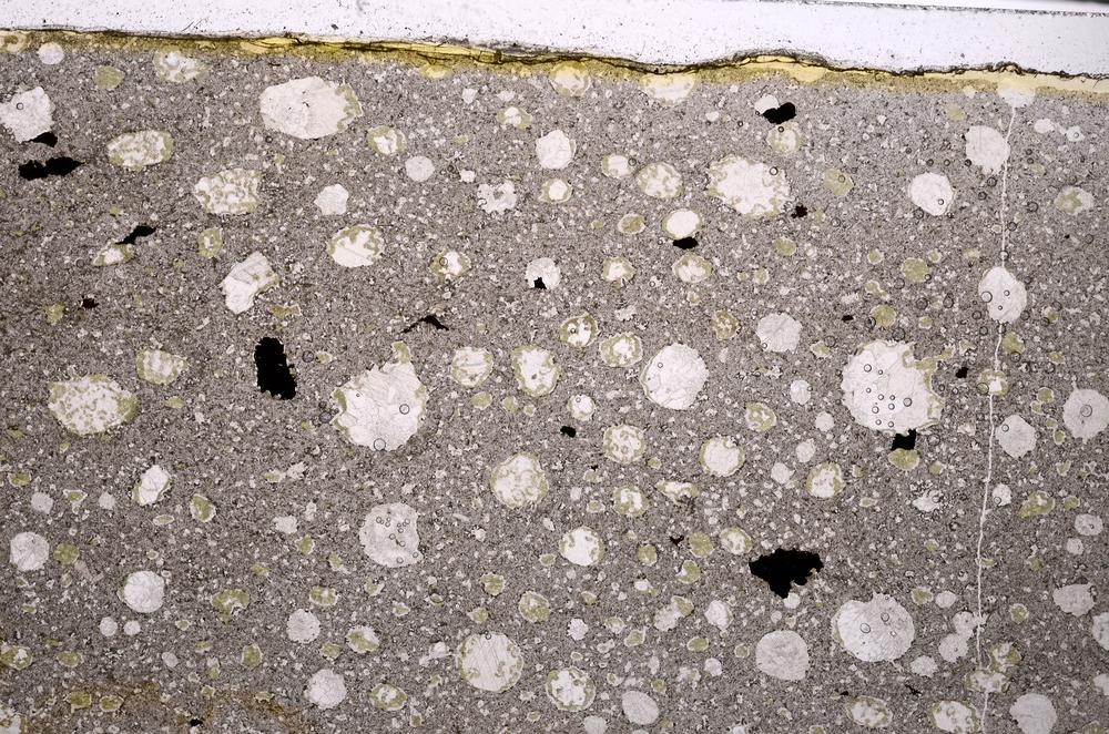 Plane Polarized, E46337