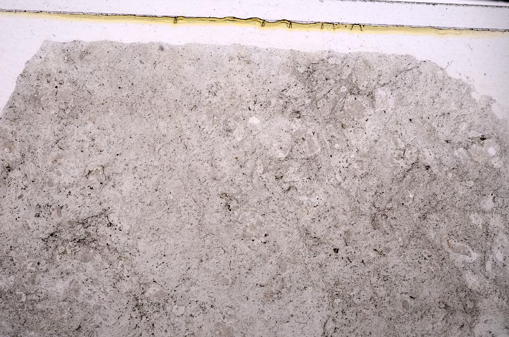 Plane Polarized, E46342