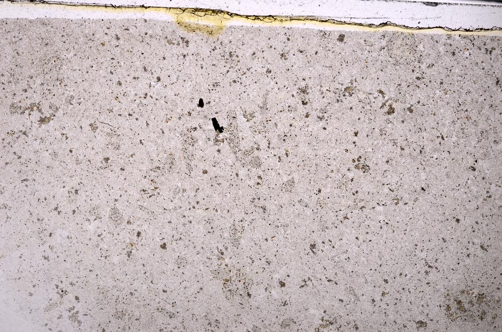 Plane Polarized, E46348
