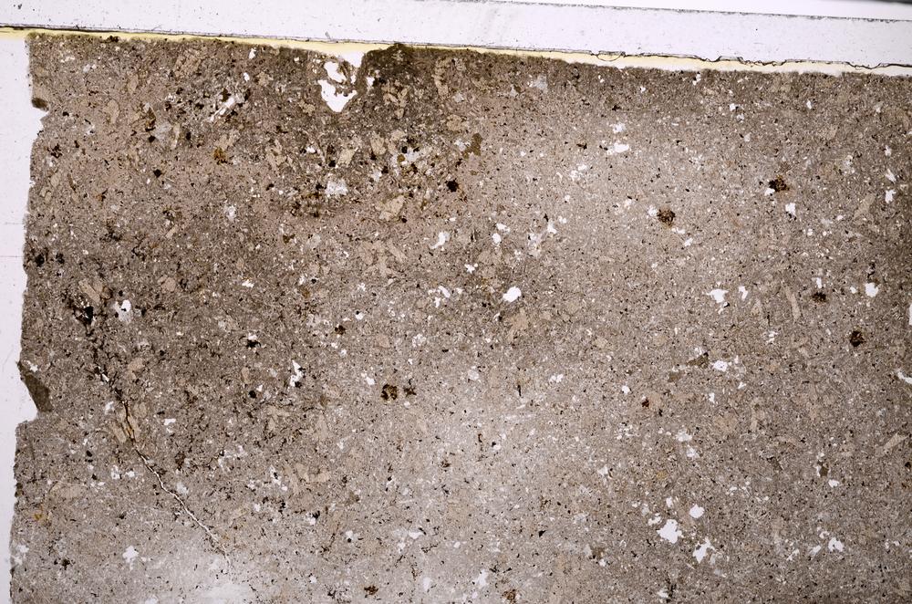 Plane Polarized, E46352