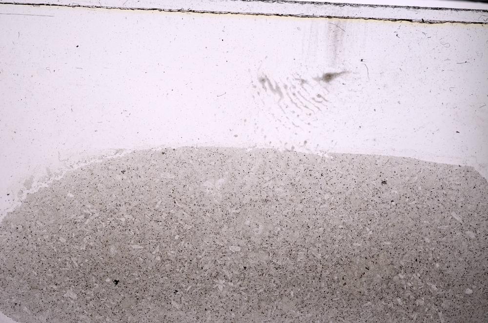 Plane Polarized, E46354