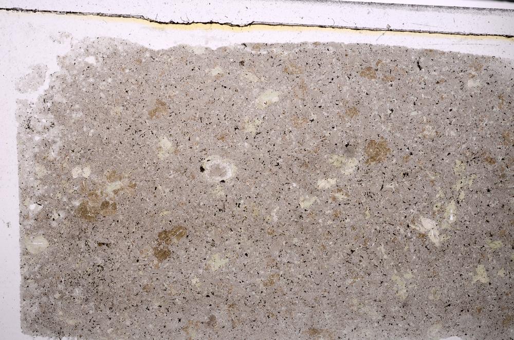 Plane Polarized, E46355