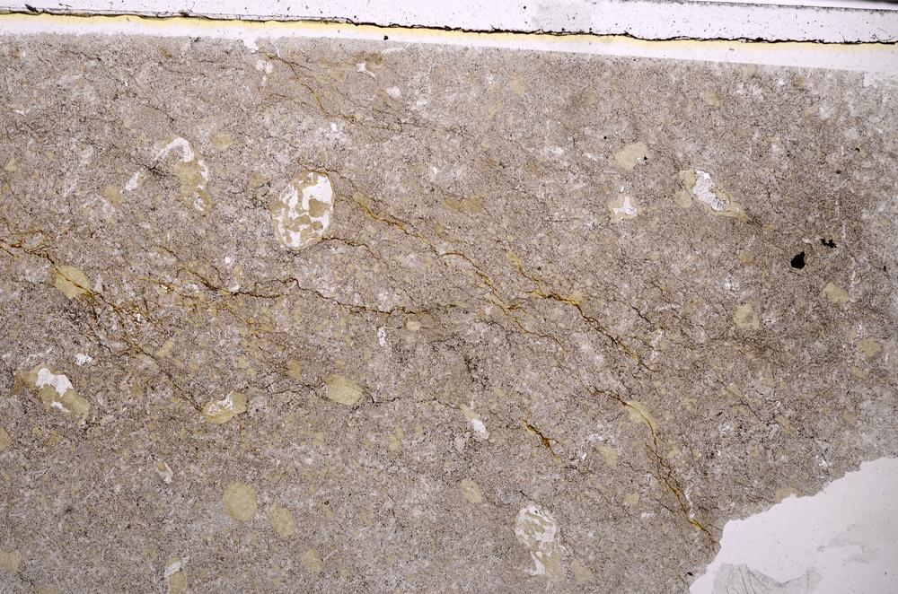 Plane Polarized, E46356