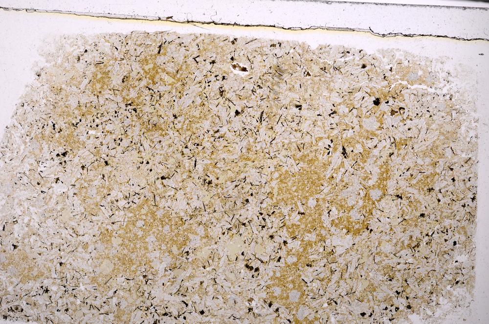 Plane Polarized, E46357