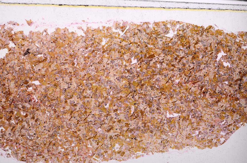 Plane Polarized, E46386/A