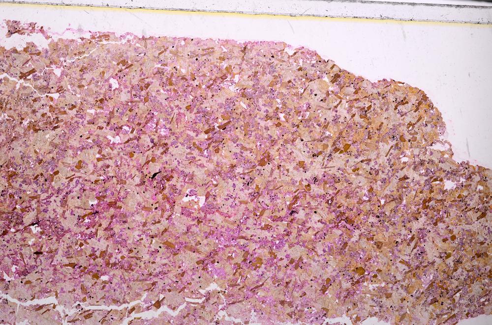 Plane Polarized, E46386/B