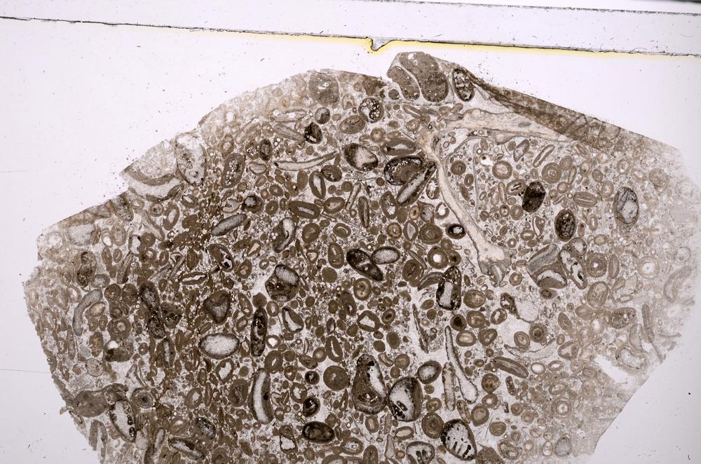 Plane Polarized, E46389