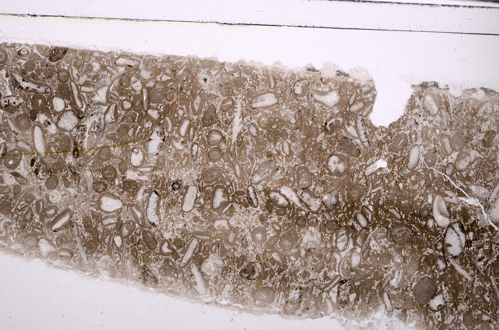 Plane Polarized, E46390