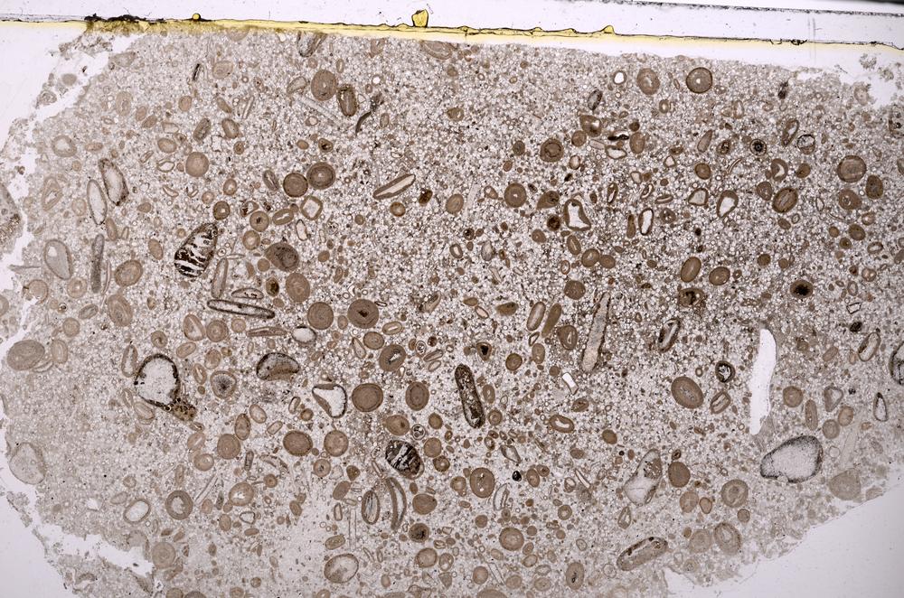 Plane Polarized, E46392