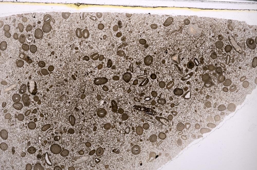 Plane Polarized, E46400