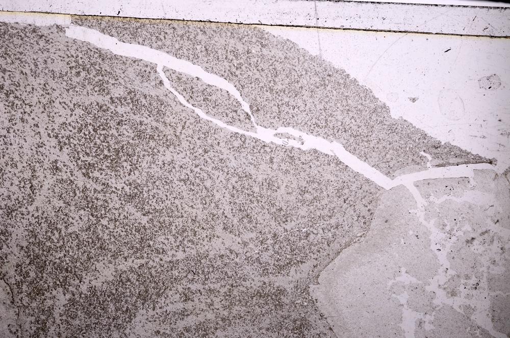 Plane Polarized, E46495