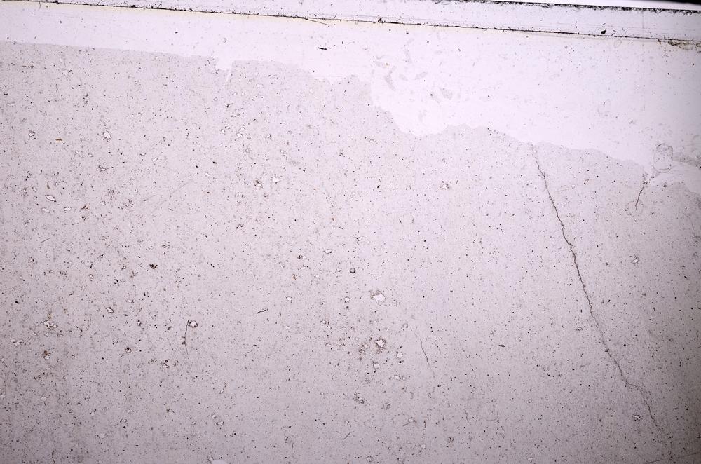 Plane Polarized, E46496