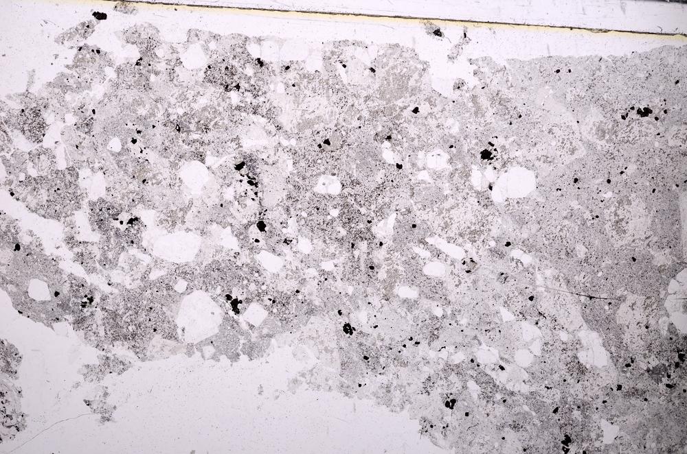 Plane Polarized, E46497