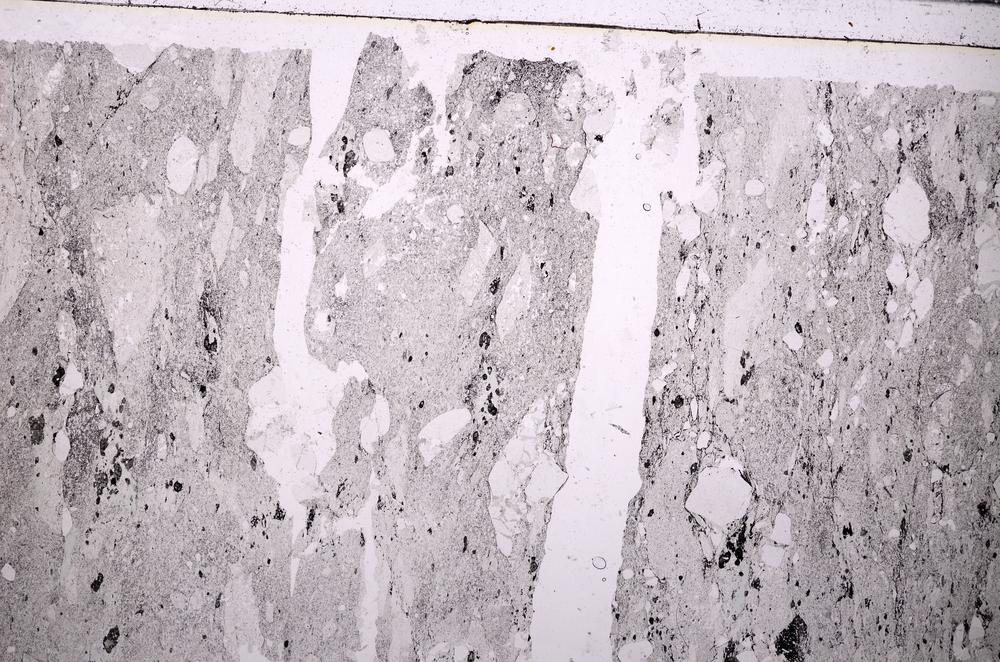 Plane Polarized, E46498