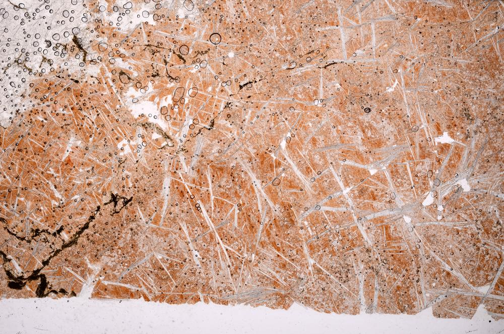 Plane Polarized, E46543