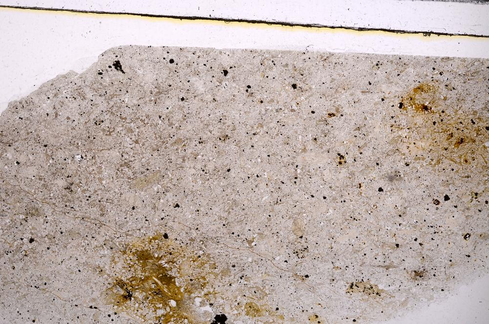 Plane Polarized, E46604