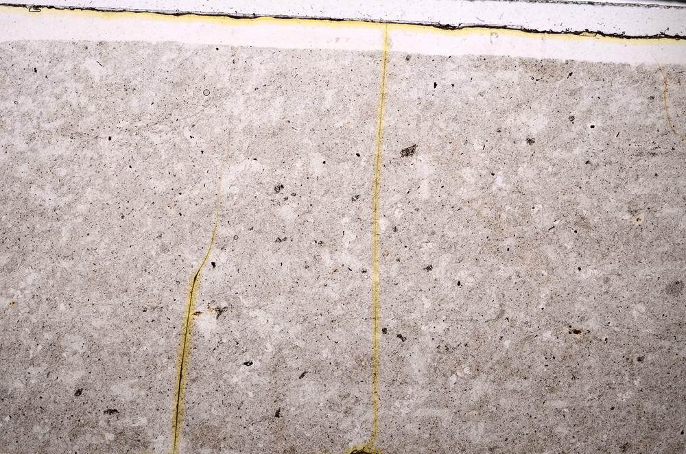 Plane Polarized, E46613