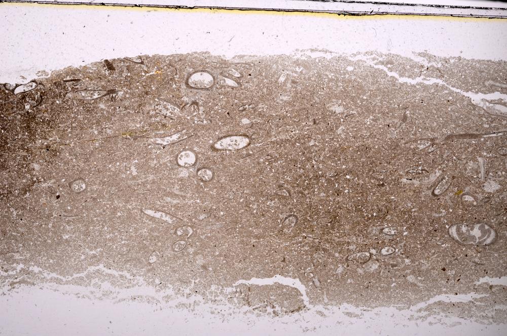 Plane Polarized, E46629