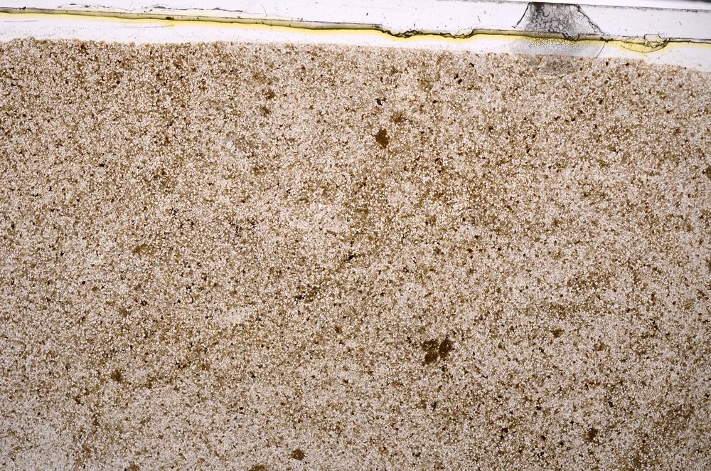 Plane Polarized, E46666