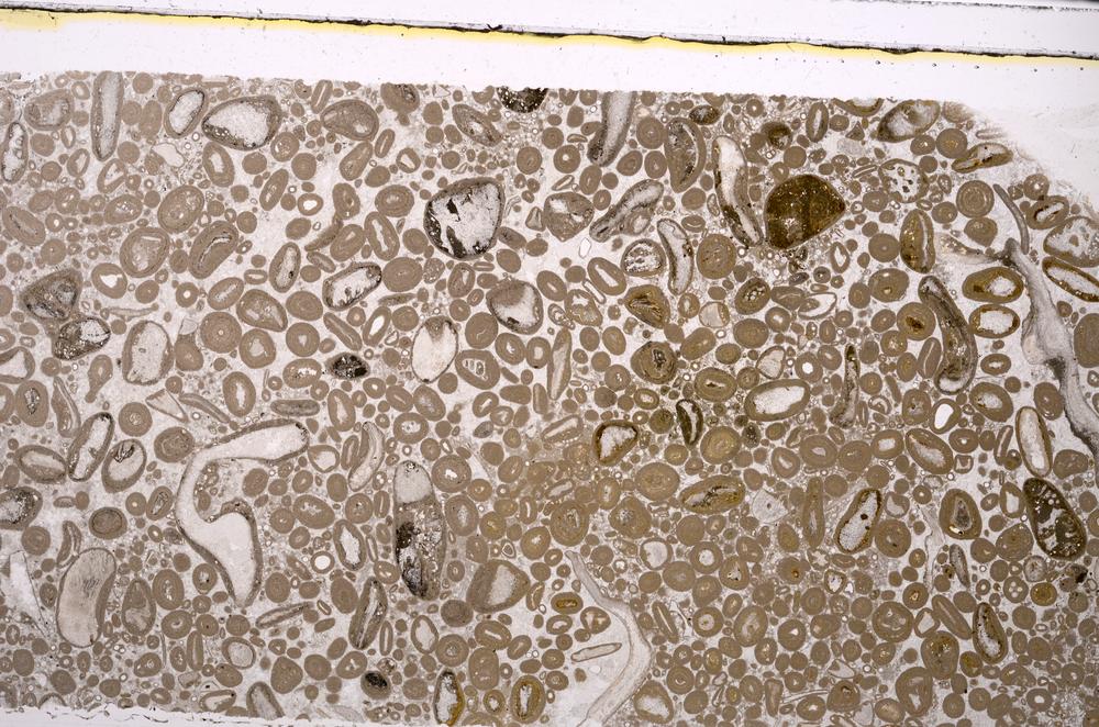 Plane Polarized, E46670