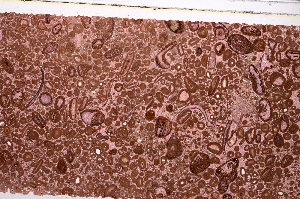 Plane Polarized, E46671