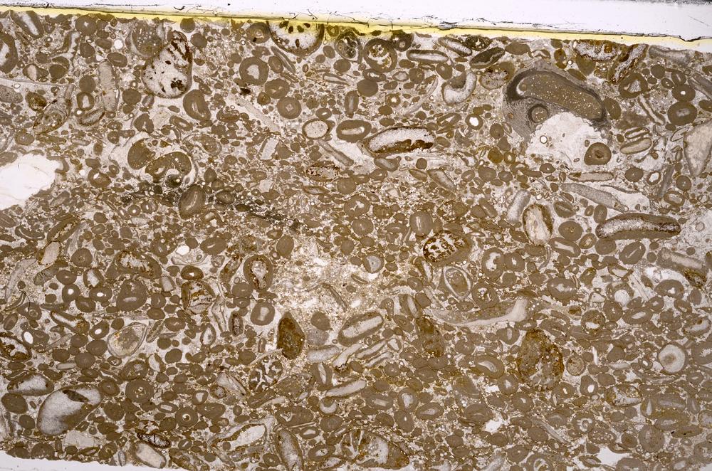 Plane Polarized, E46675