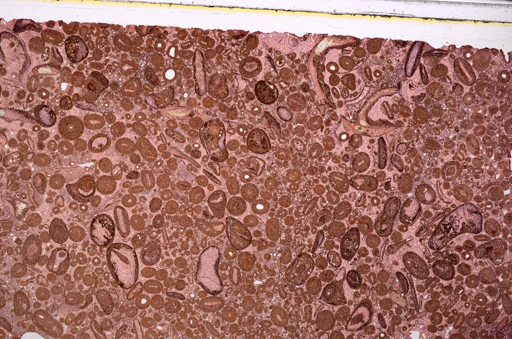 Plane Polarized, E46681