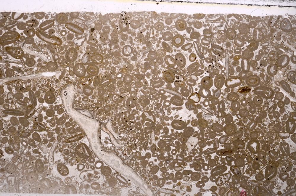 Plane Polarized, E46683