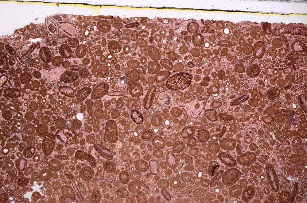 Plane Polarized, E46684