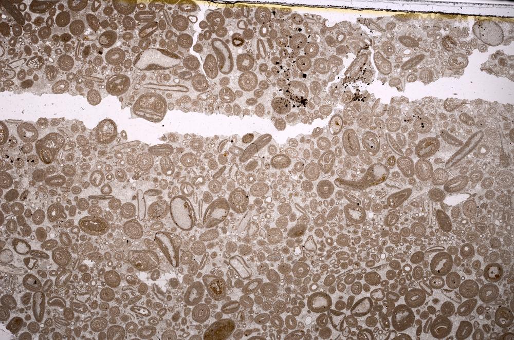 Plane Polarized, E46685