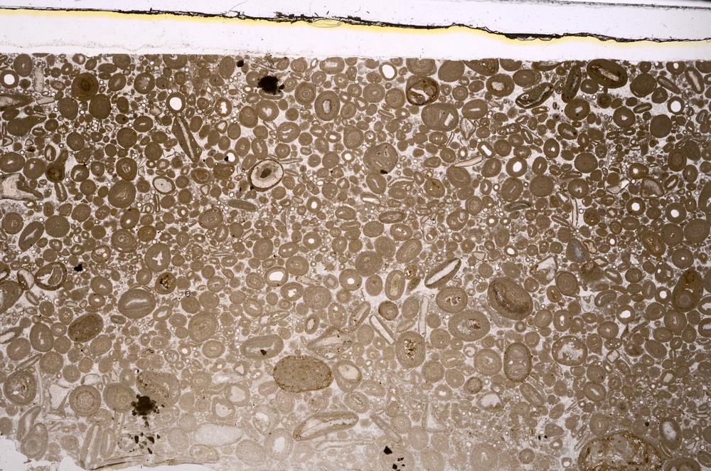 Plane Polarized, E46686