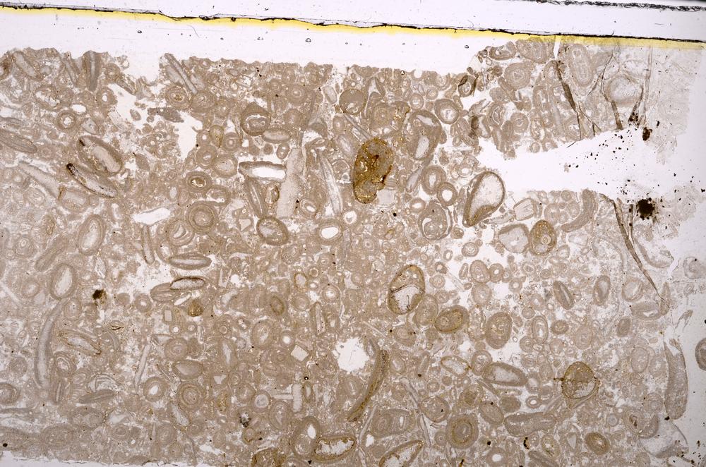 Plane Polarized, E46687