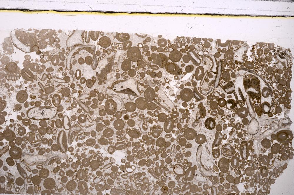 Plane Polarized, E46690