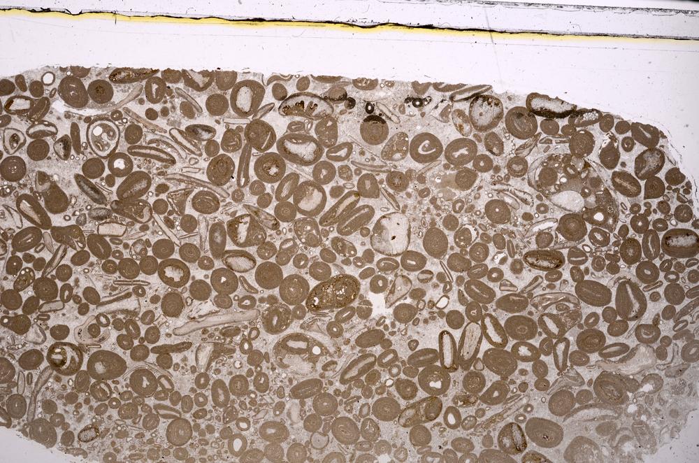 Plane Polarized, E46691