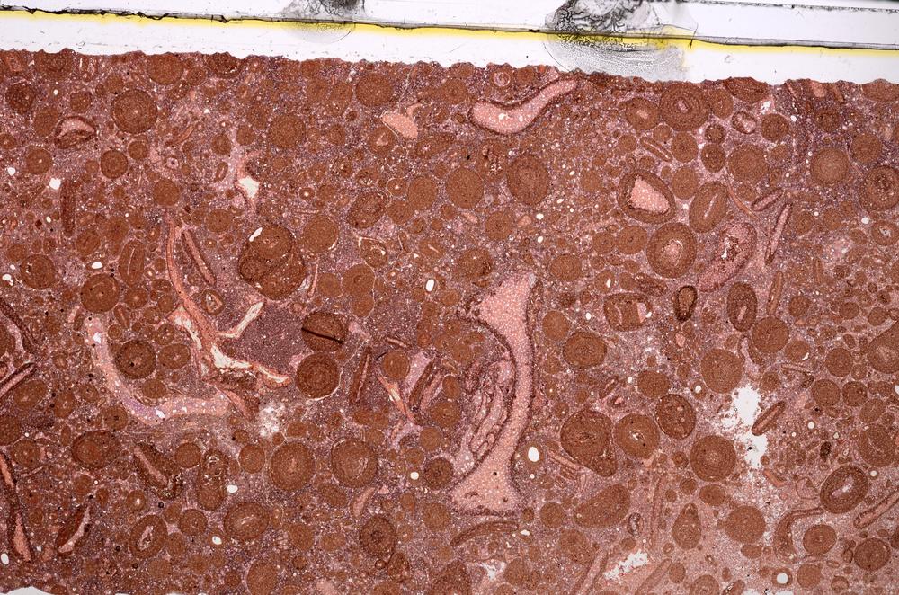 Plane Polarized, E46707