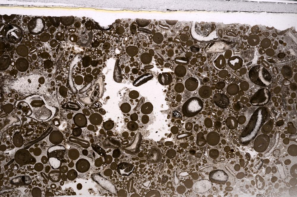 Plane Polarized, E46711