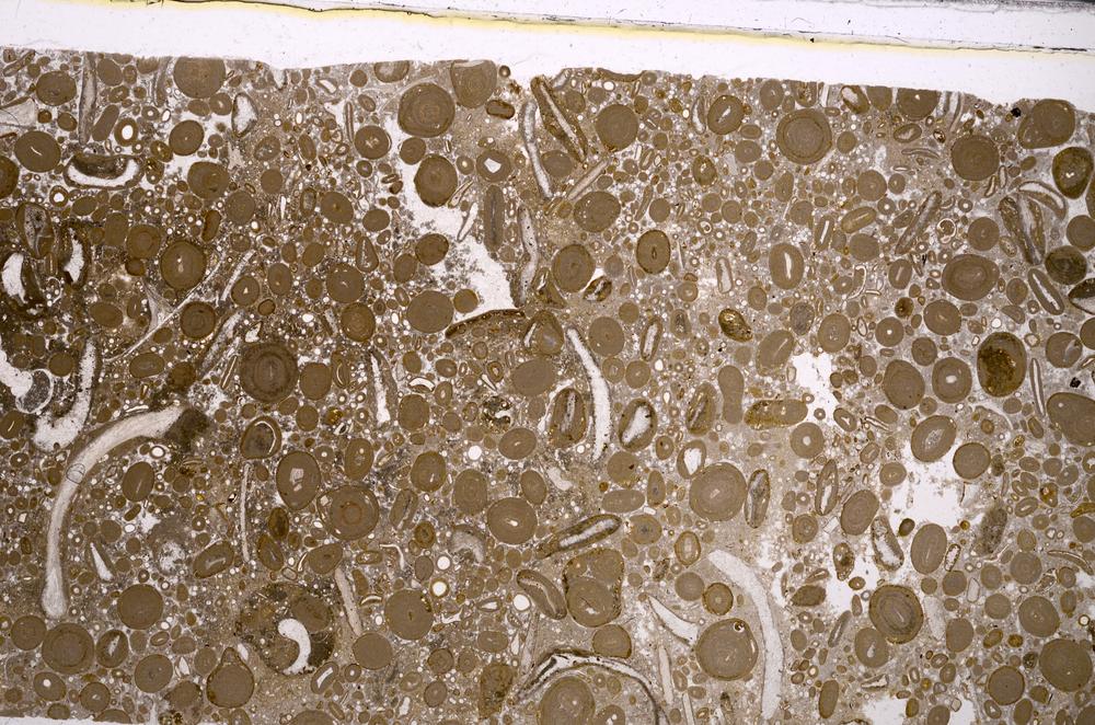 Plane Polarized, E46712