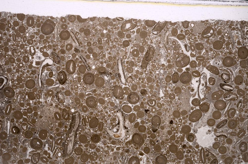 Plane Polarized, E46714