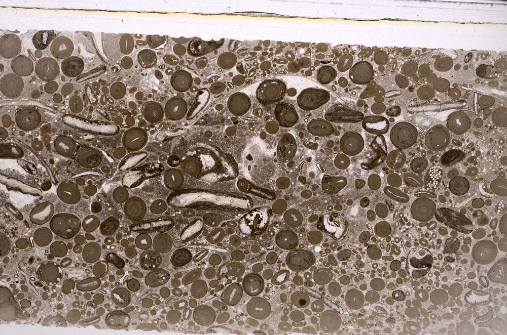 Plane Polarized, E46715