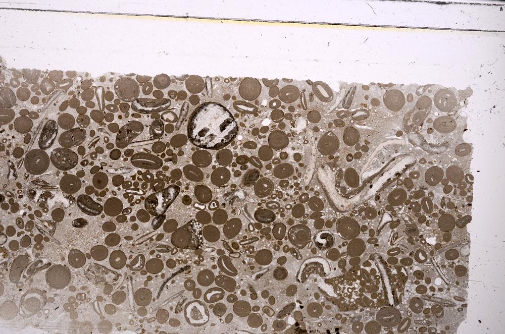 Plane Polarized, E46716