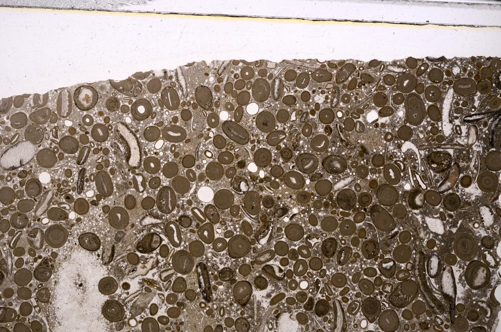 Plane Polarized, E46718